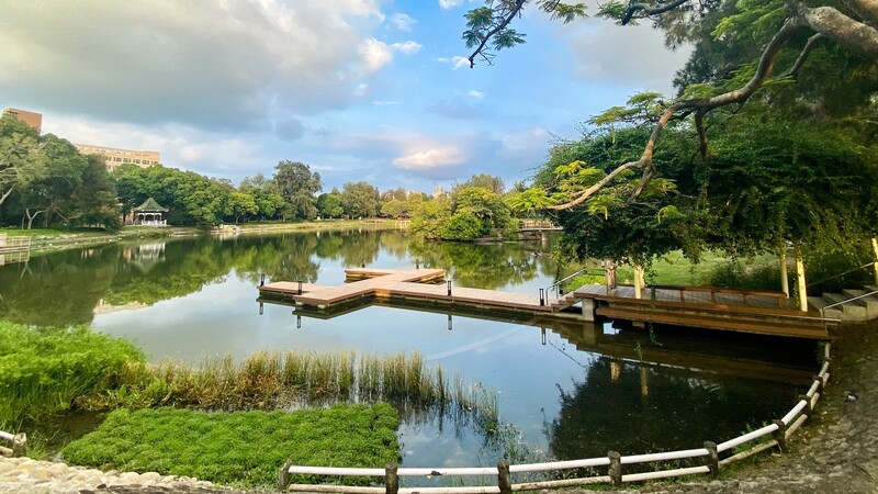 成功湖生態營造與環境維護計畫_Lake Success Eco Project圖片